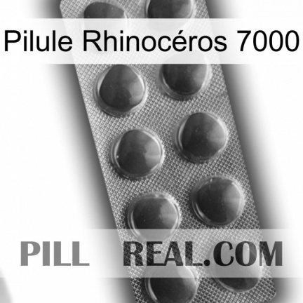 Pilule Rhinocéros 7000 30